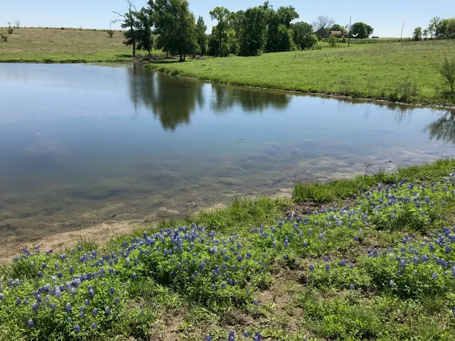 $1,299,000 | 5796 Hurtig Road, Bleiblerville, TX 78931