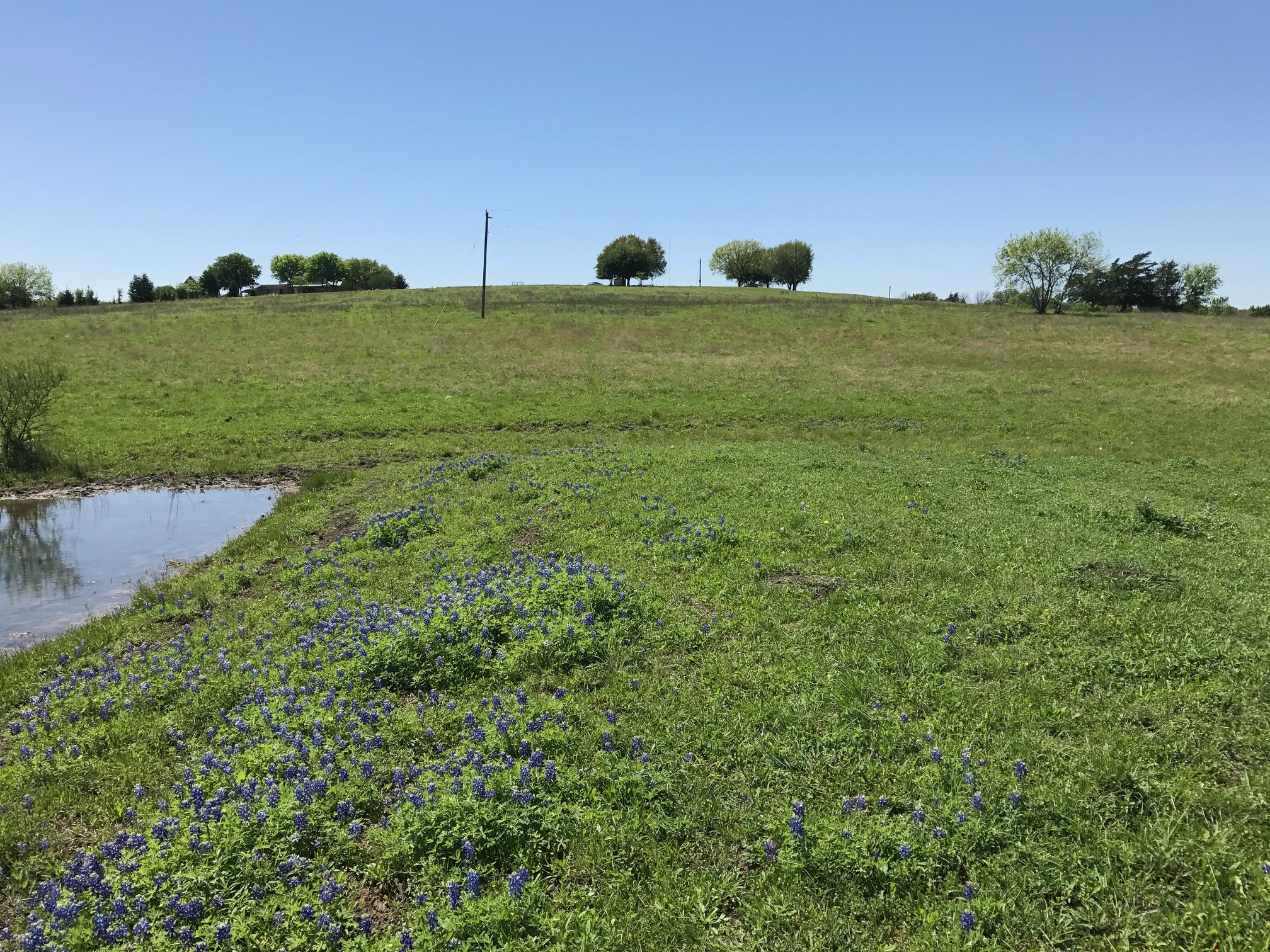 5796 Hurtig Road Bleiblerville, TX 78931 - Photo 4 of 27