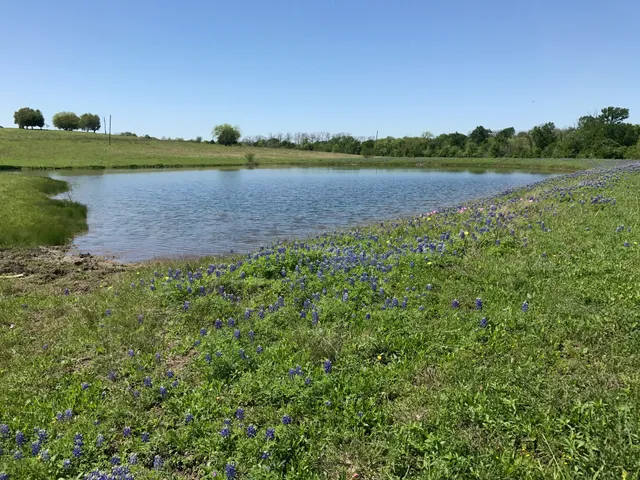 $1,299,000 | 5796 Hurtig Road, Bleiblerville, TX 78931