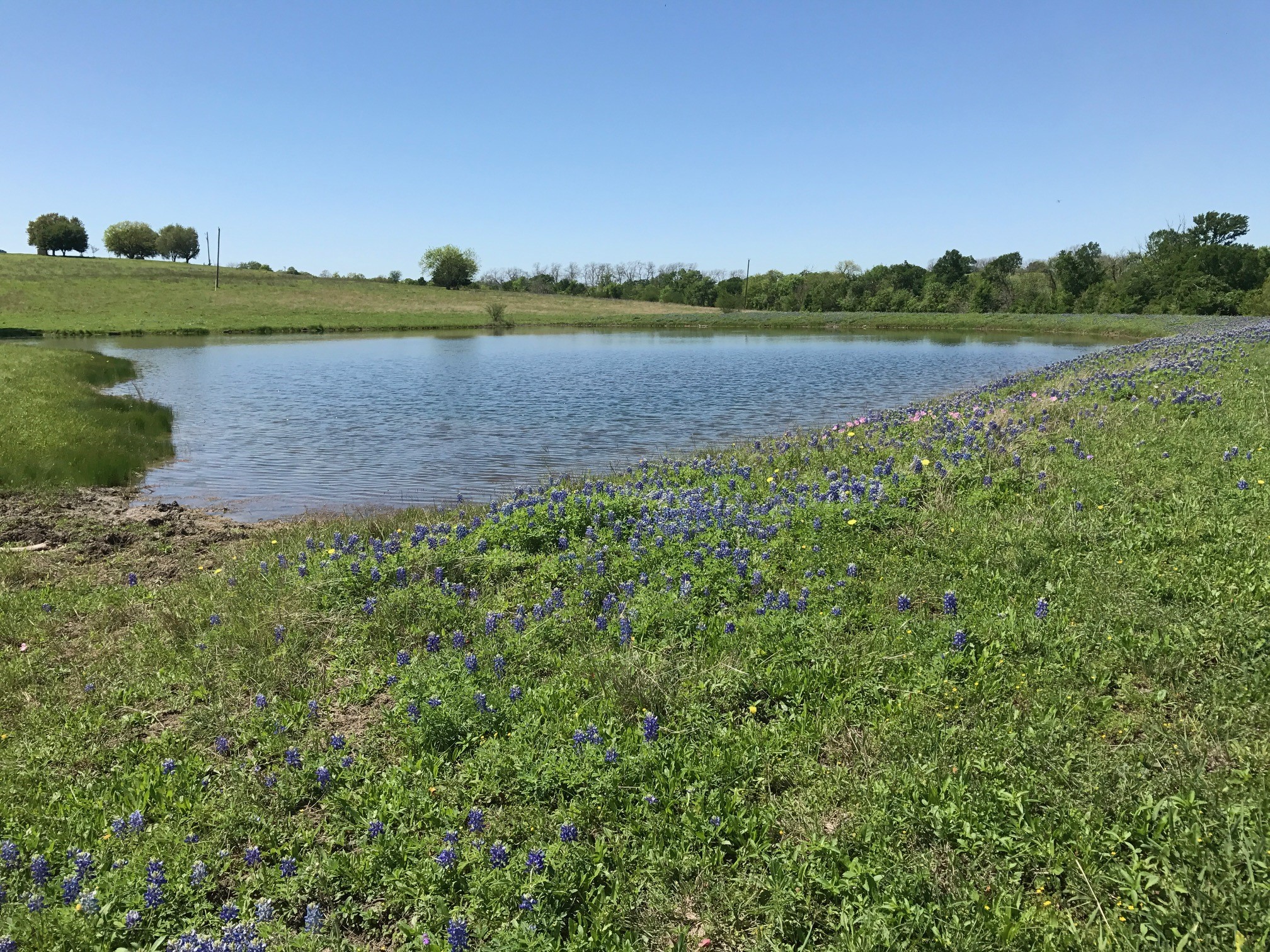 5796 Hurtig Road Bleiblerville, TX 78931 - Photo 5 of 27