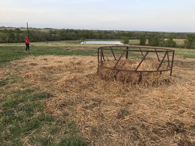 $1,299,000 | 5796 Hurtig Road, Bleiblerville, TX 78931