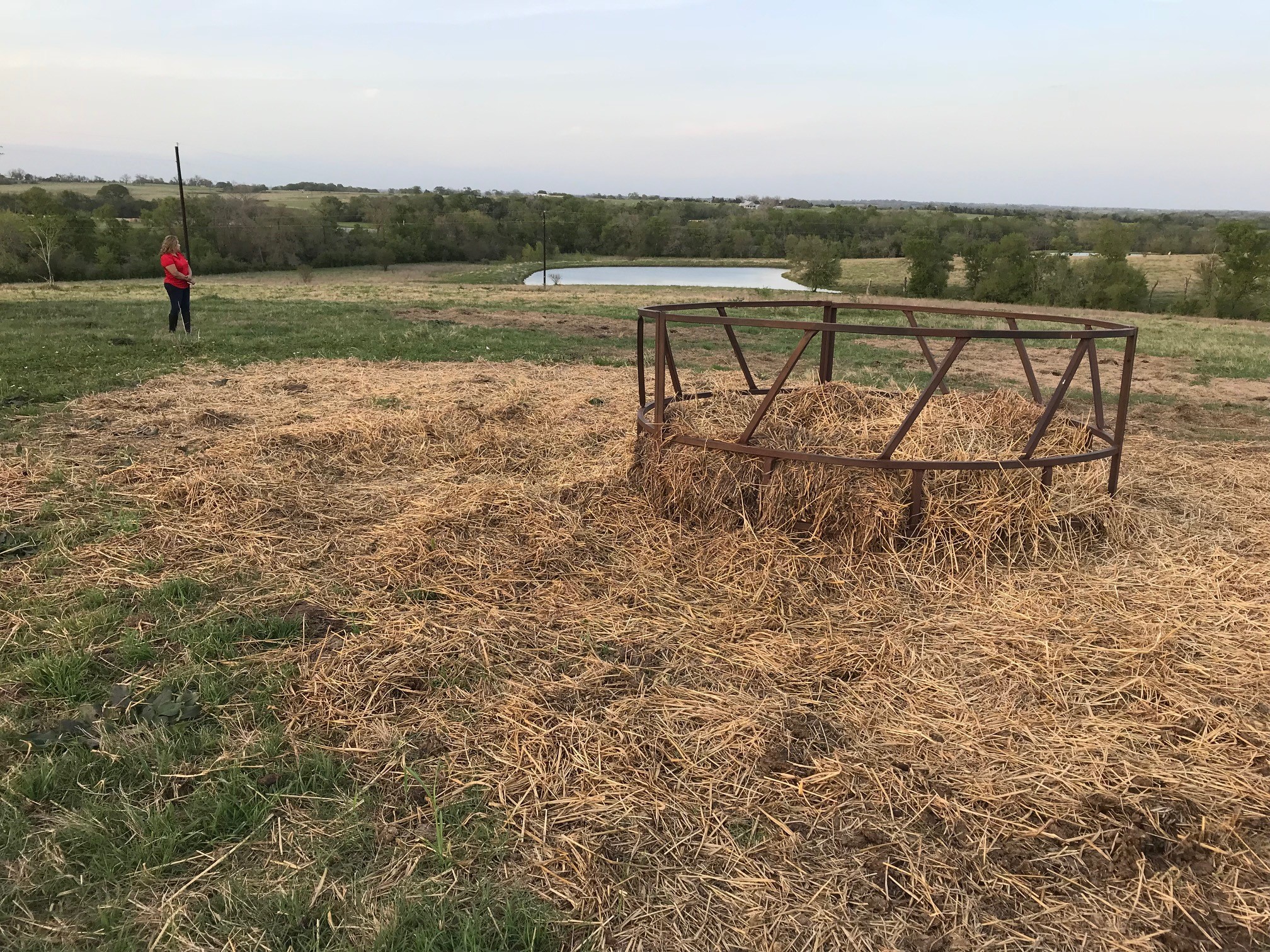 5796 Hurtig Road Bleiblerville, TX 78931 - Photo 6 of 27