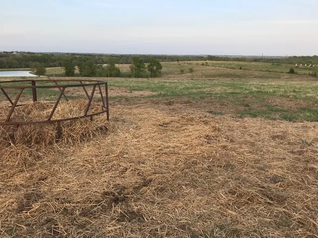 $1,299,000 | 5796 Hurtig Road, Bleiblerville, TX 78931