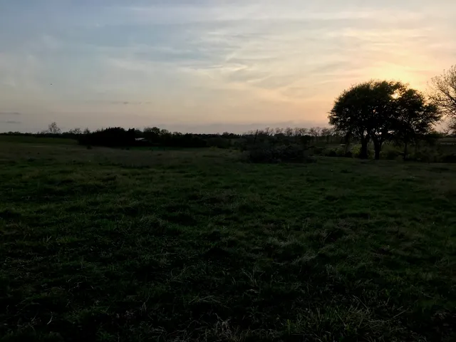 $1,299,000 | 5796 Hurtig Road, Bleiblerville, TX 78931