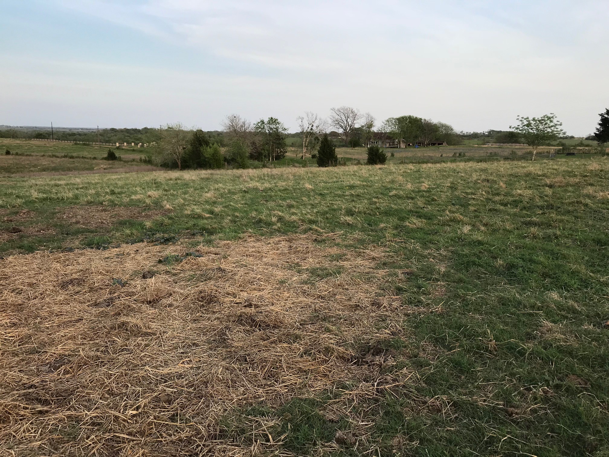 5796 Hurtig Road Bleiblerville, TX 78931 - Photo 10 of 27