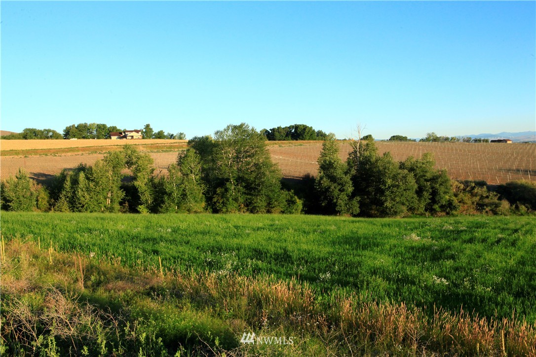-xx Vanderbilt Road Ellensburg, WA 98926 - Photo 4 of 15 Gallery Image 4