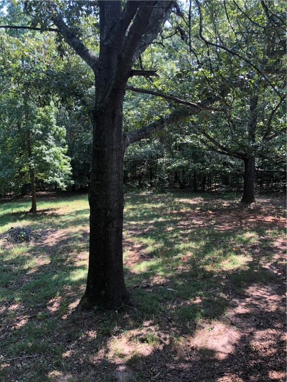185 Mountain Creek Road Honea Path, SC 29654 - Photo 11 of 17