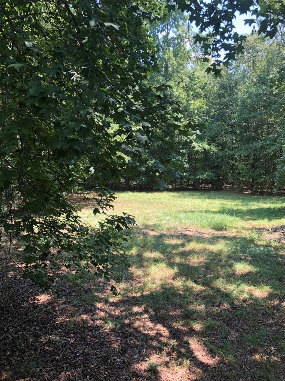 185 Mountain Creek Road Honea Path, SC 29654 - Photo 10 of 17