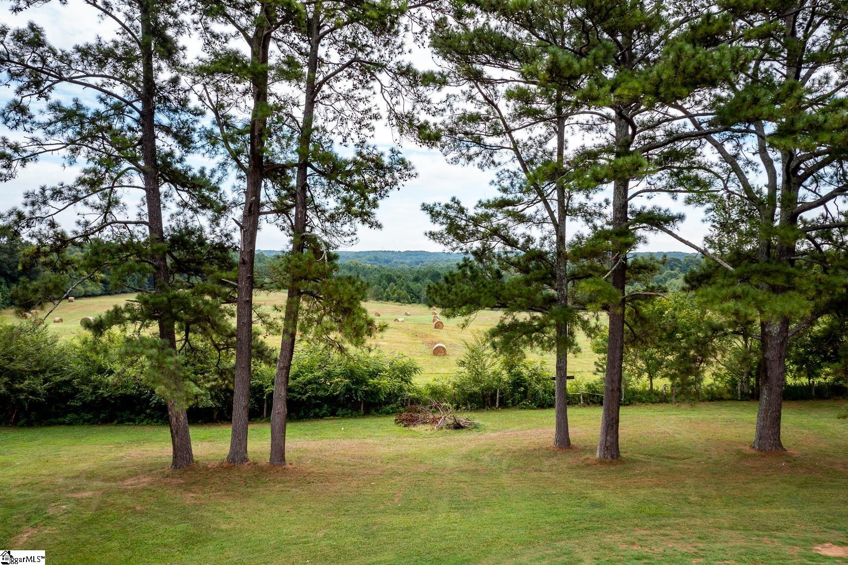 4103 Fork Shoals Road Simpsonville, SC 29680 - Photo 27 of 36