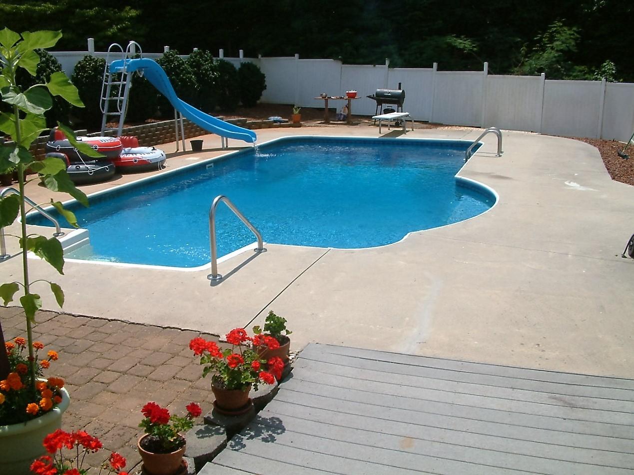 65 Carolina Road Rocky Mount, VA 24151 - Photo 2 of 34 incredible inground pool