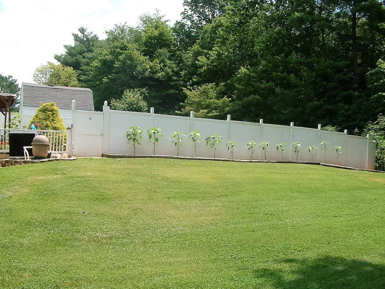 65 Carolina Road Rocky Mount, VA 24151 - Photo 19 of 34 pool fence