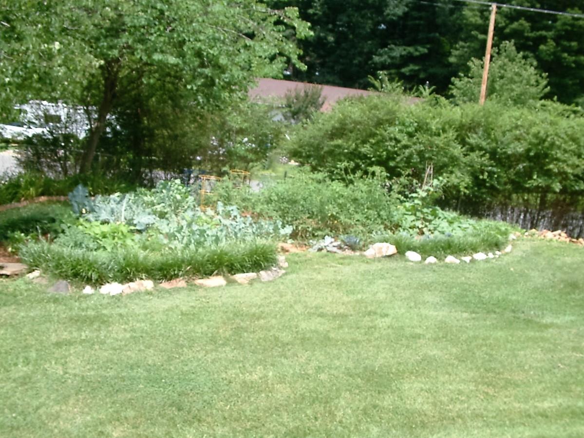 65 Carolina Road Rocky Mount, VA 24151 - Photo 26 of 34 DSCF0076