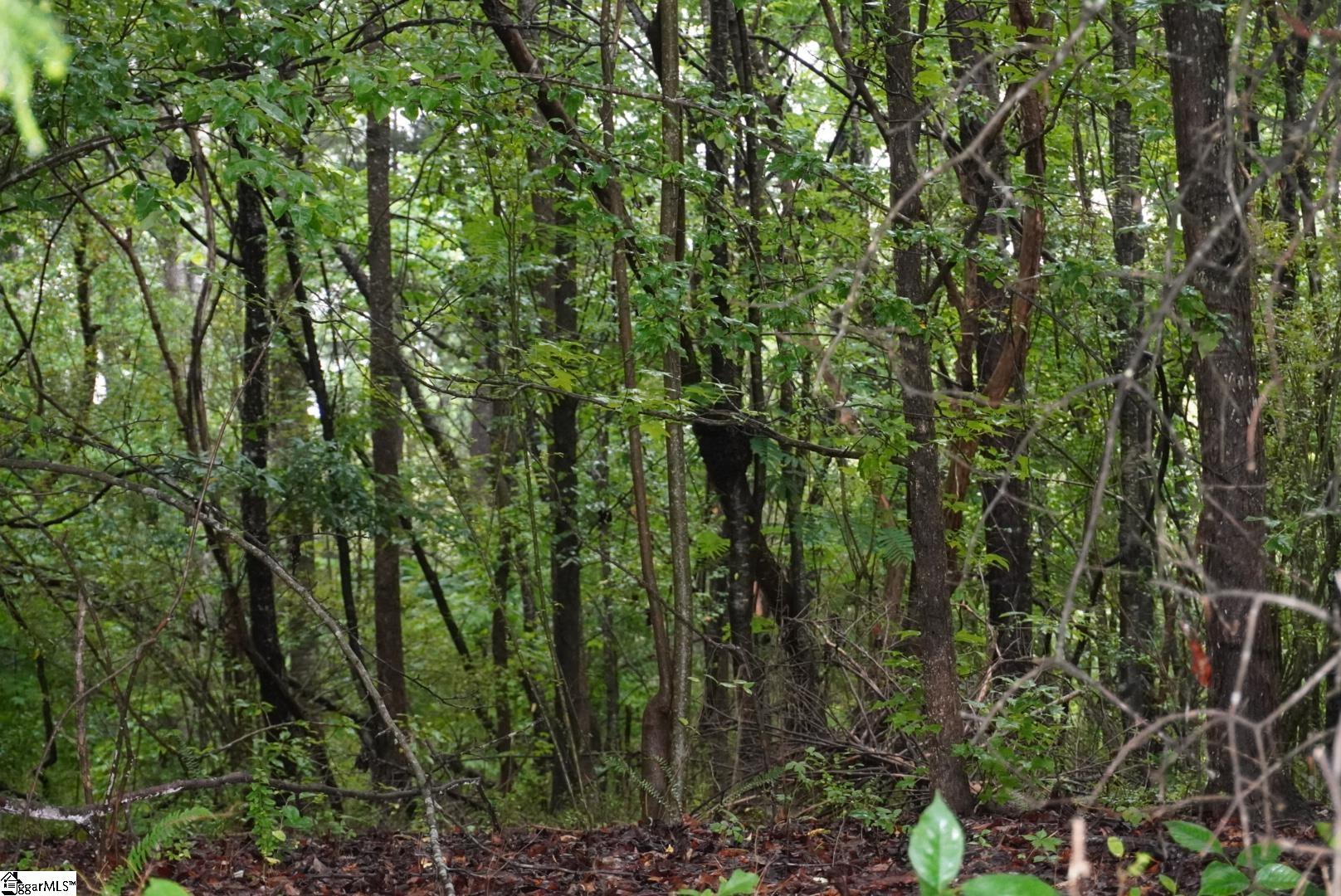 175 Stewart Lake Road Pelzer, SC 29669 - Photo 11 of 18