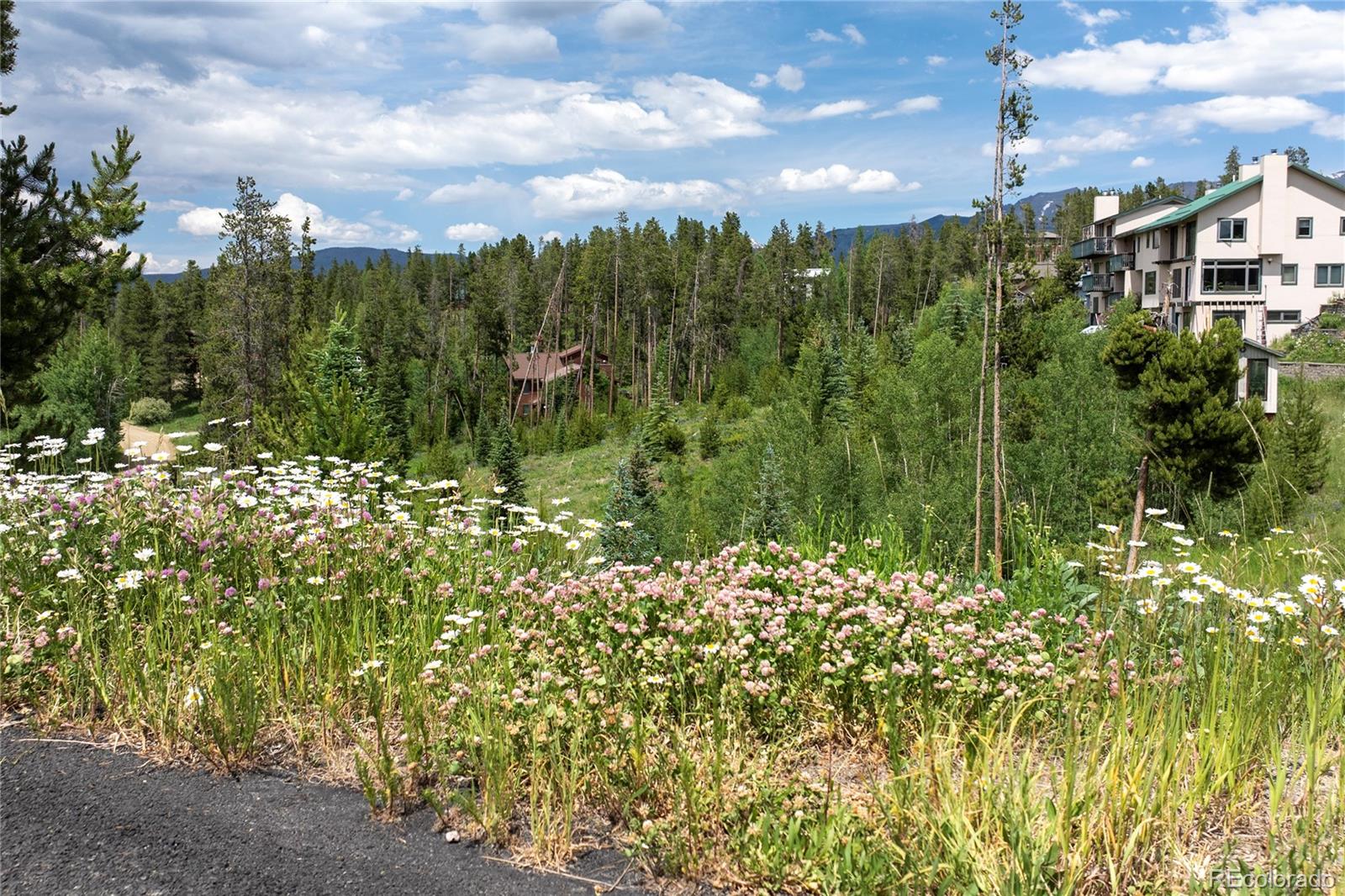 16 County Road 8343 Fraser, CO 80442 - Photo 16 of 17