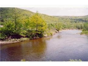 197 Littlefield Road Danbury, NH 03230 - Photo 2 of 7