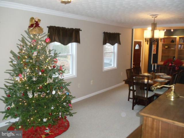 1840 Griffith Road Falls Church, VA 22043 - Photo 8 of 21 Interior (General)