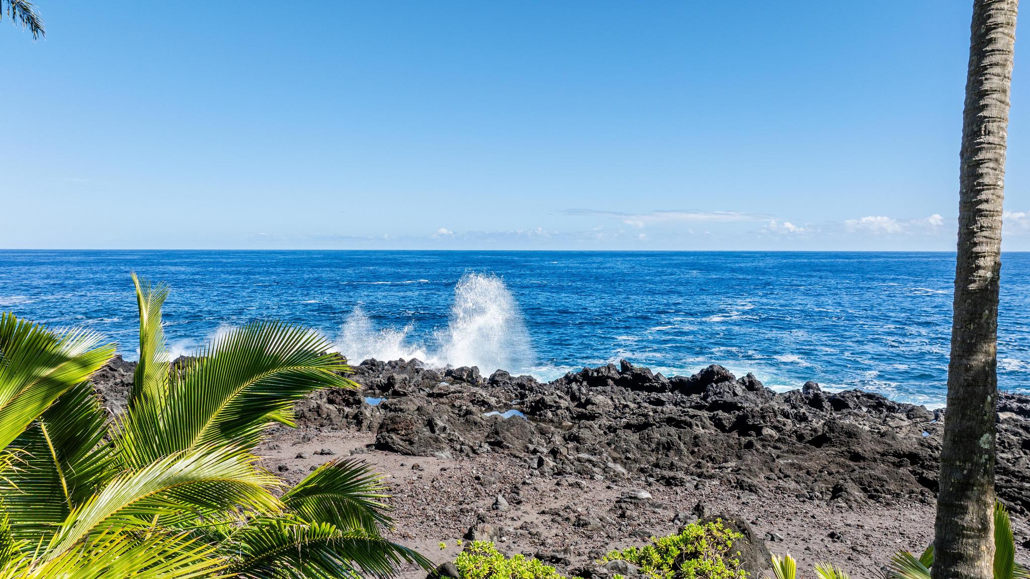 15-2649 Government Beach Road Pahoa, HI 96778 - Photo 11 of 30