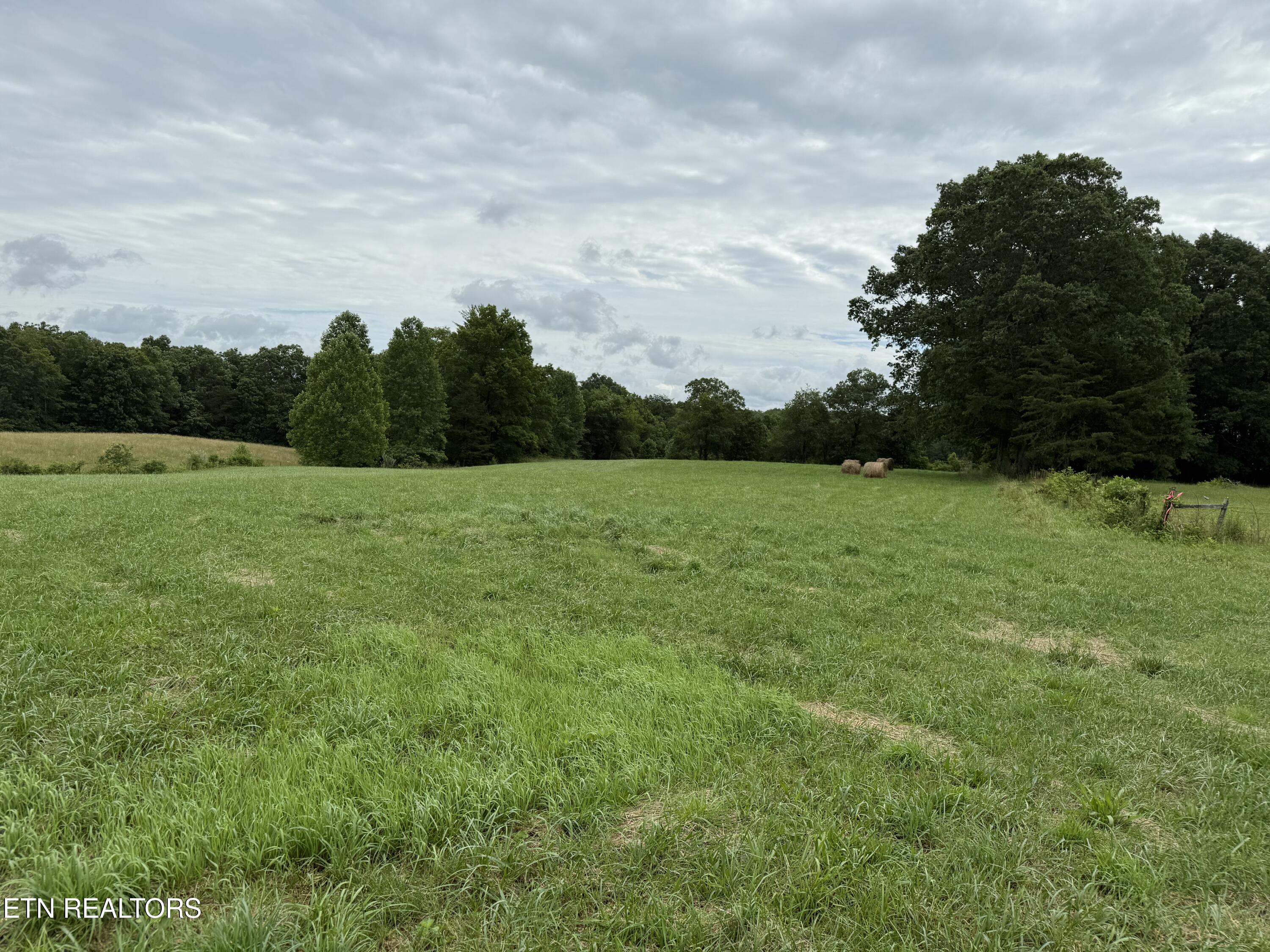 Stockton Road Allardt, TN 38504 - Photo 13 of 18 IMG_8038