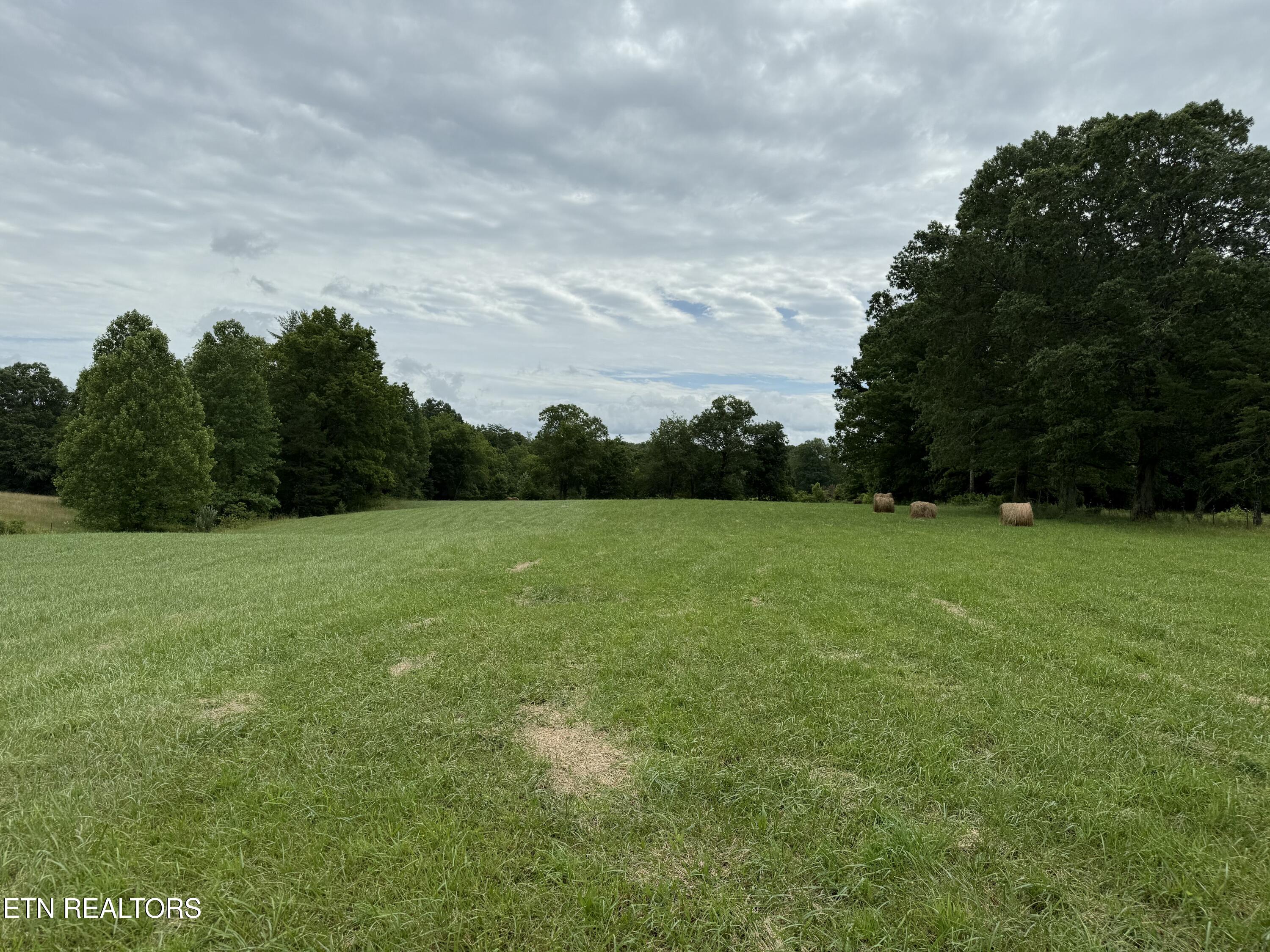 Stockton Road Allardt, TN 38504 - Photo 2 of 18 IMG_8040