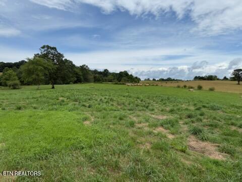 Stockton Road Allardt, TN 38504 - Photo 3 of 18 IMG_8037
