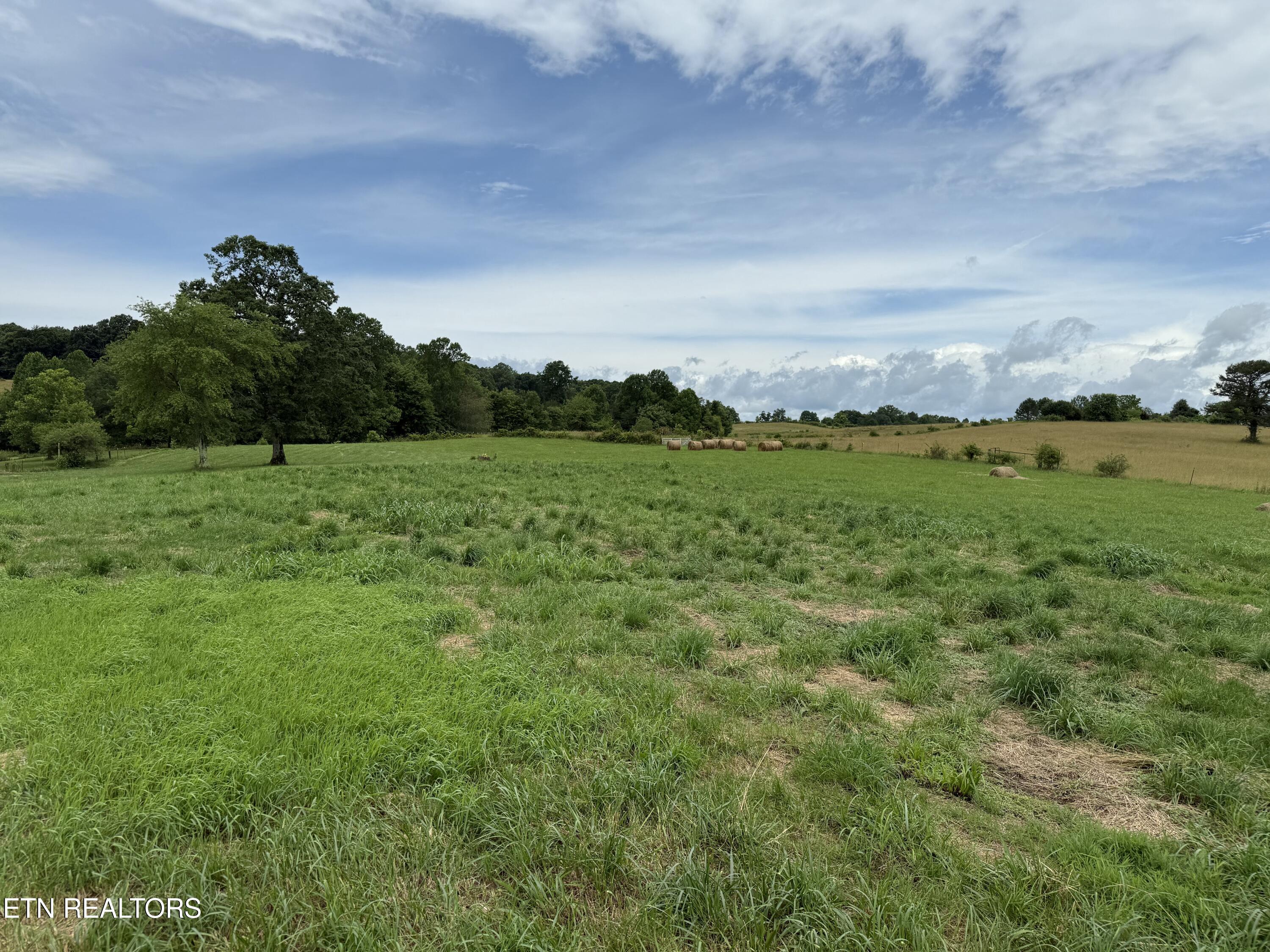 Stockton Road Allardt, TN 38504 - Photo 4 of 18 IMG_8037