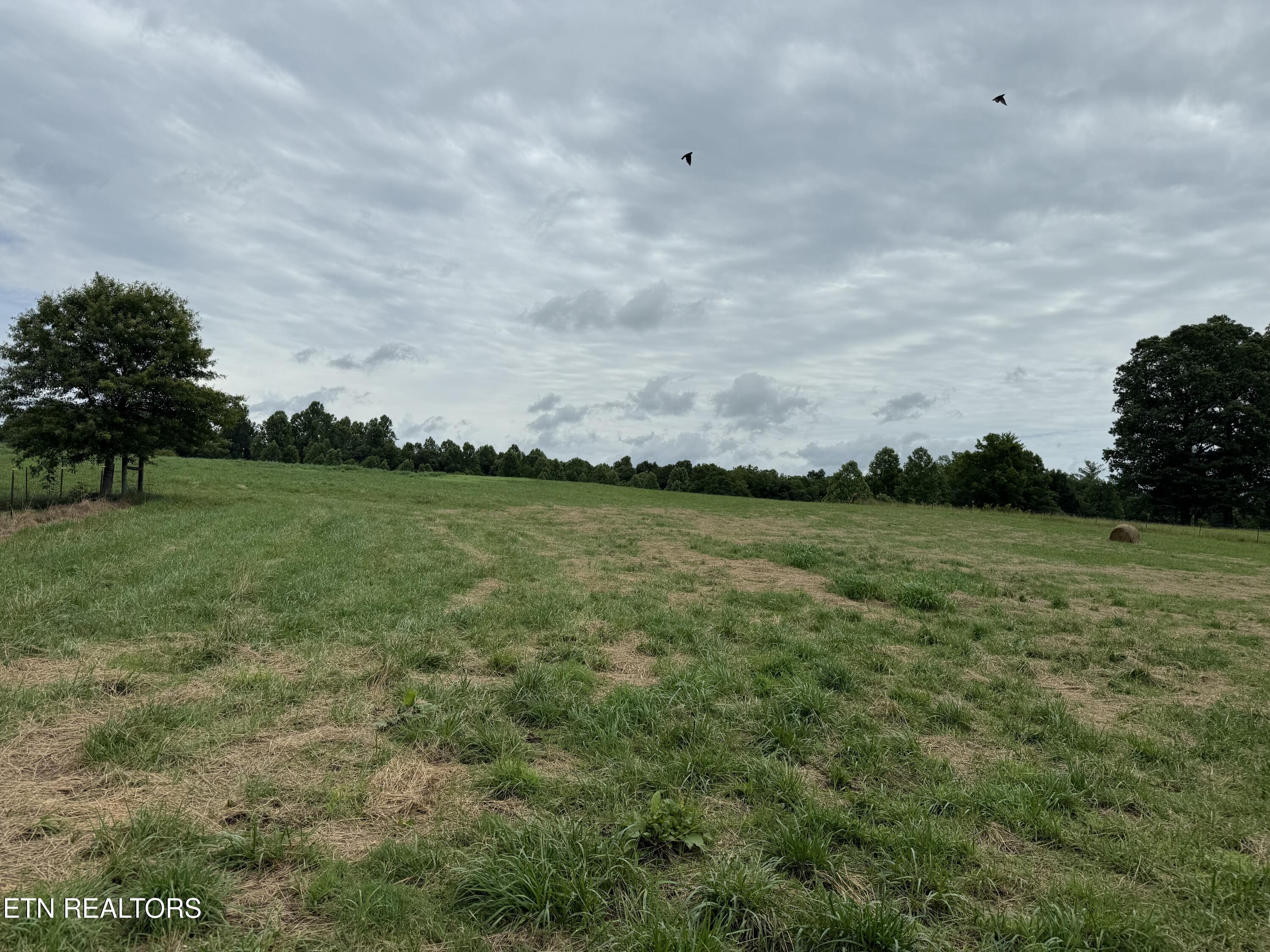 Stockton Road Allardt, TN 38504 - Photo 6 of 18 IMG_8033