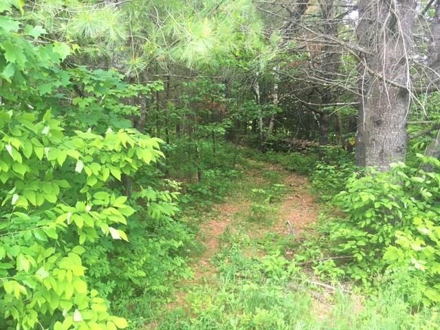 0 Hartshorn Road Morrill, ME 04952 - Photo 16 of 20 Photo
