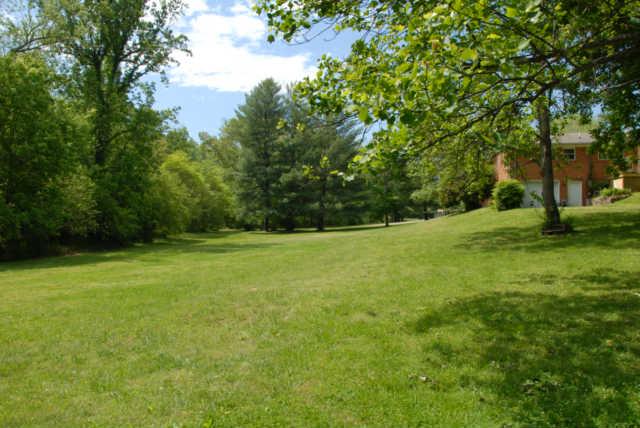 224 Valley View Road Dover, TN 37058 - Photo 3 of 20 Gallery Image 3
