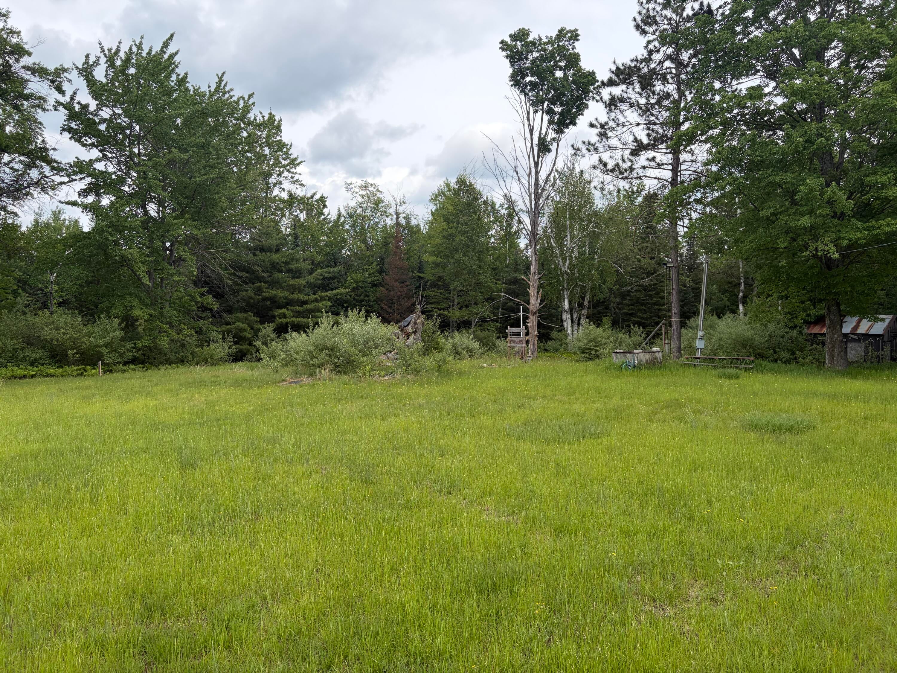 10-ac Garling Road Fairview, MI 48621 - Photo 4 of 19 Gallery Image 4