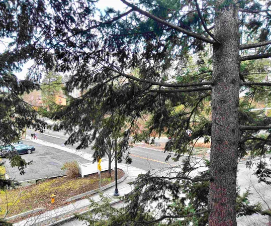 $195,000 | 1002 West 7th Avenue, Unit 201, Spokane, WA 99204