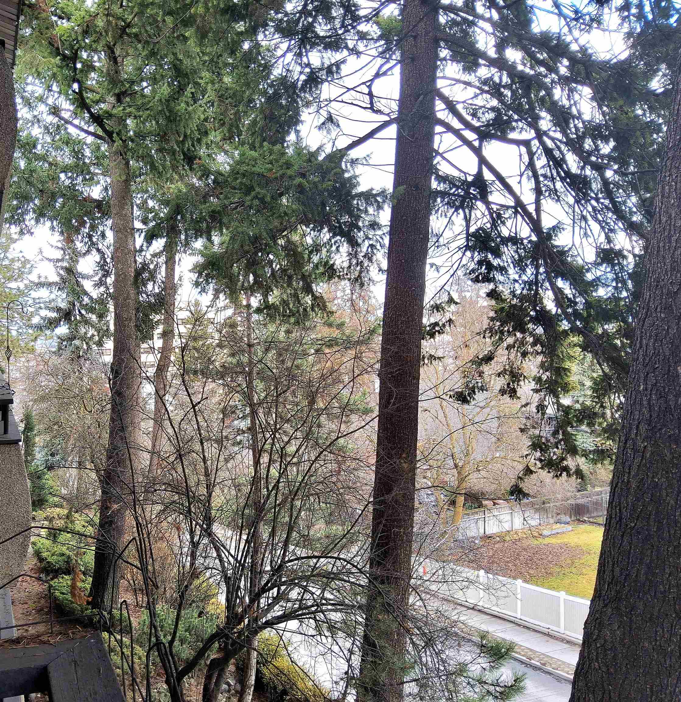 1002 West 7th Avenue, Unit 201 Spokane, WA 99204 - Photo 26 of 27