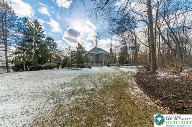 a view of dirt yard with a large tree