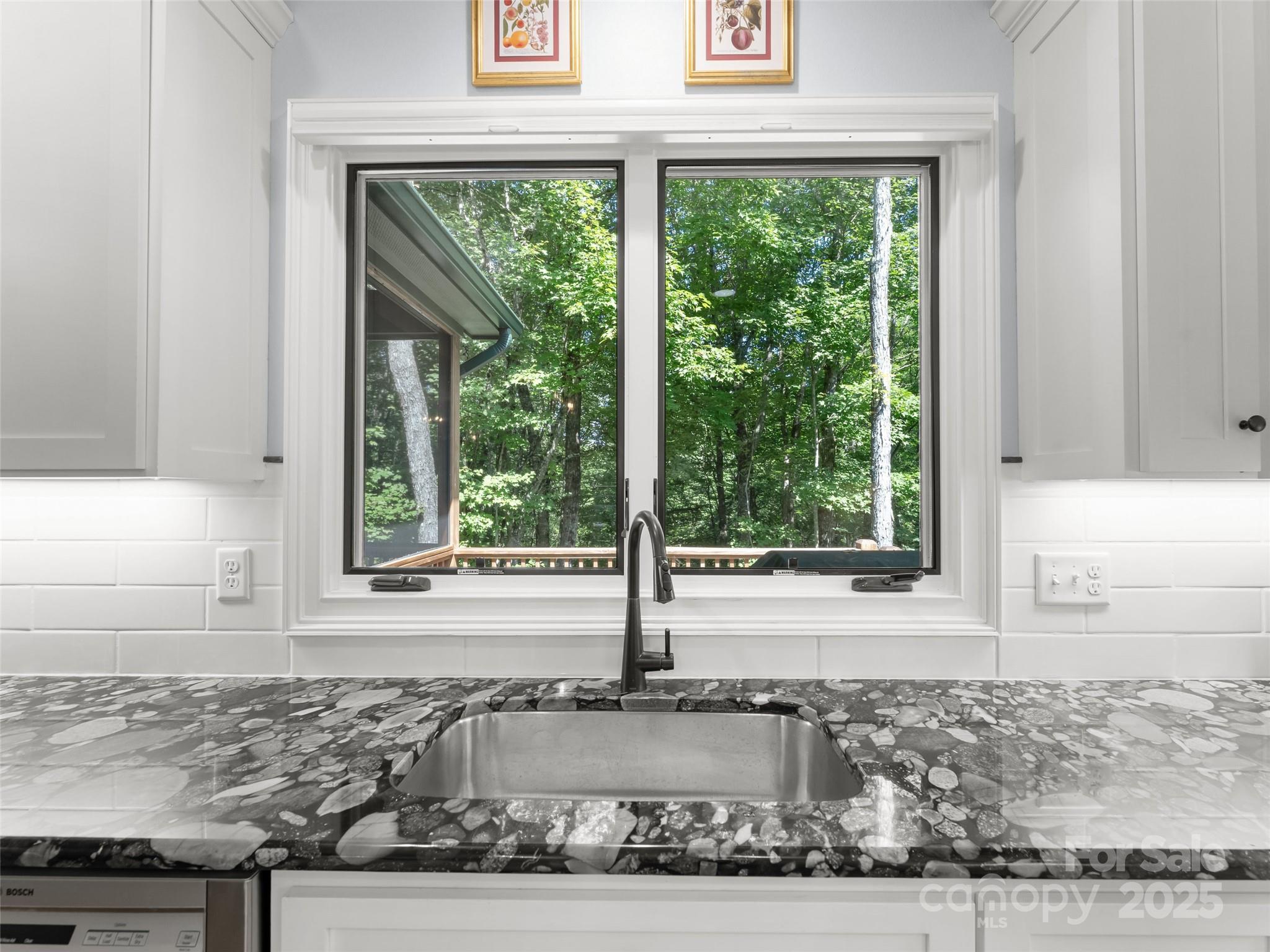 249 Tsisqua Circle Brevard, NC 28712 - Photo 19 of 39 a view of a window and a sink