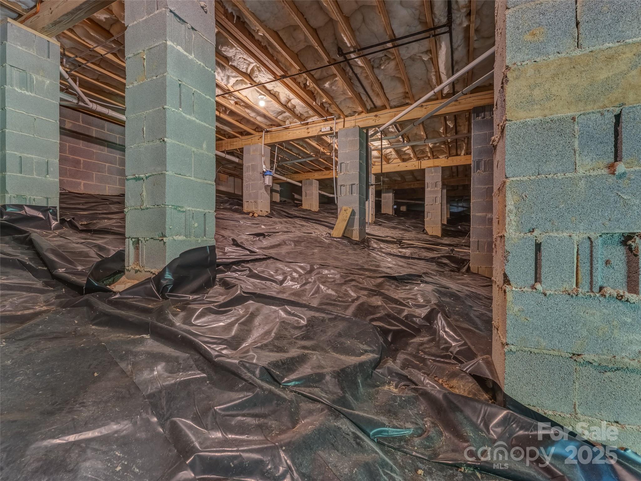 249 Tsisqua Circle Brevard, NC 28712 - Photo 38 of 39 a view of a back yard of the house