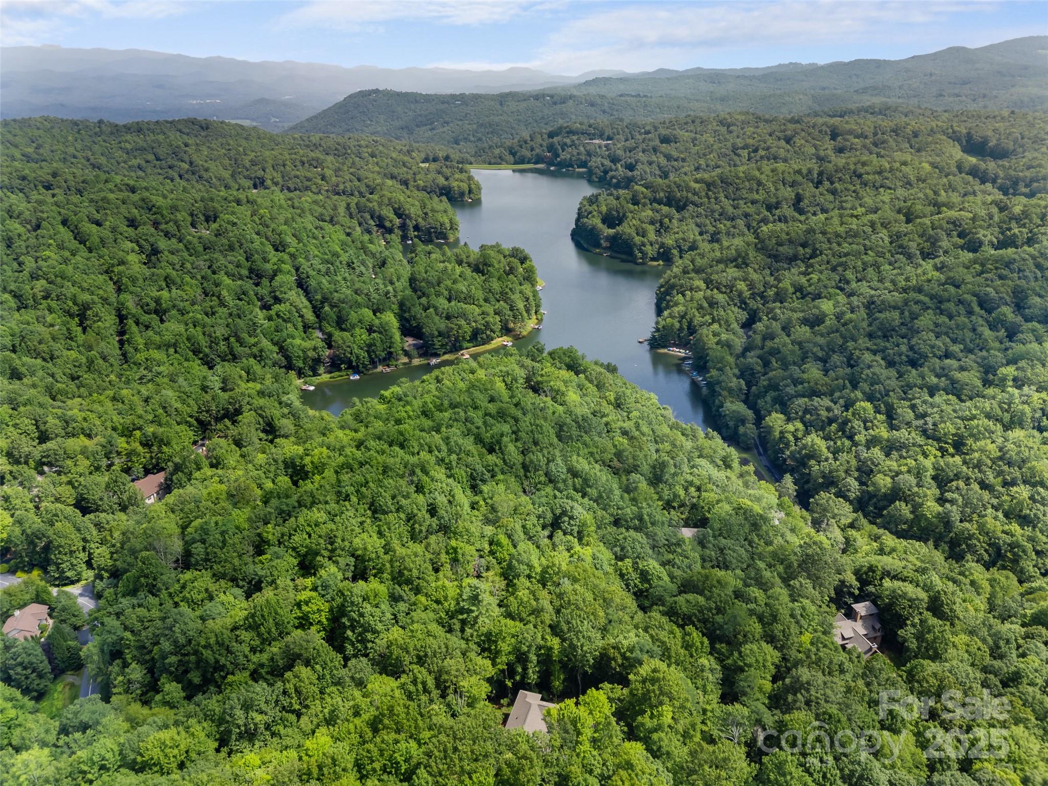 249 Tsisqua Circle Brevard, NC 28712 - Photo 9 of 39 an aerial view of green landscape with trees houses and mountain view