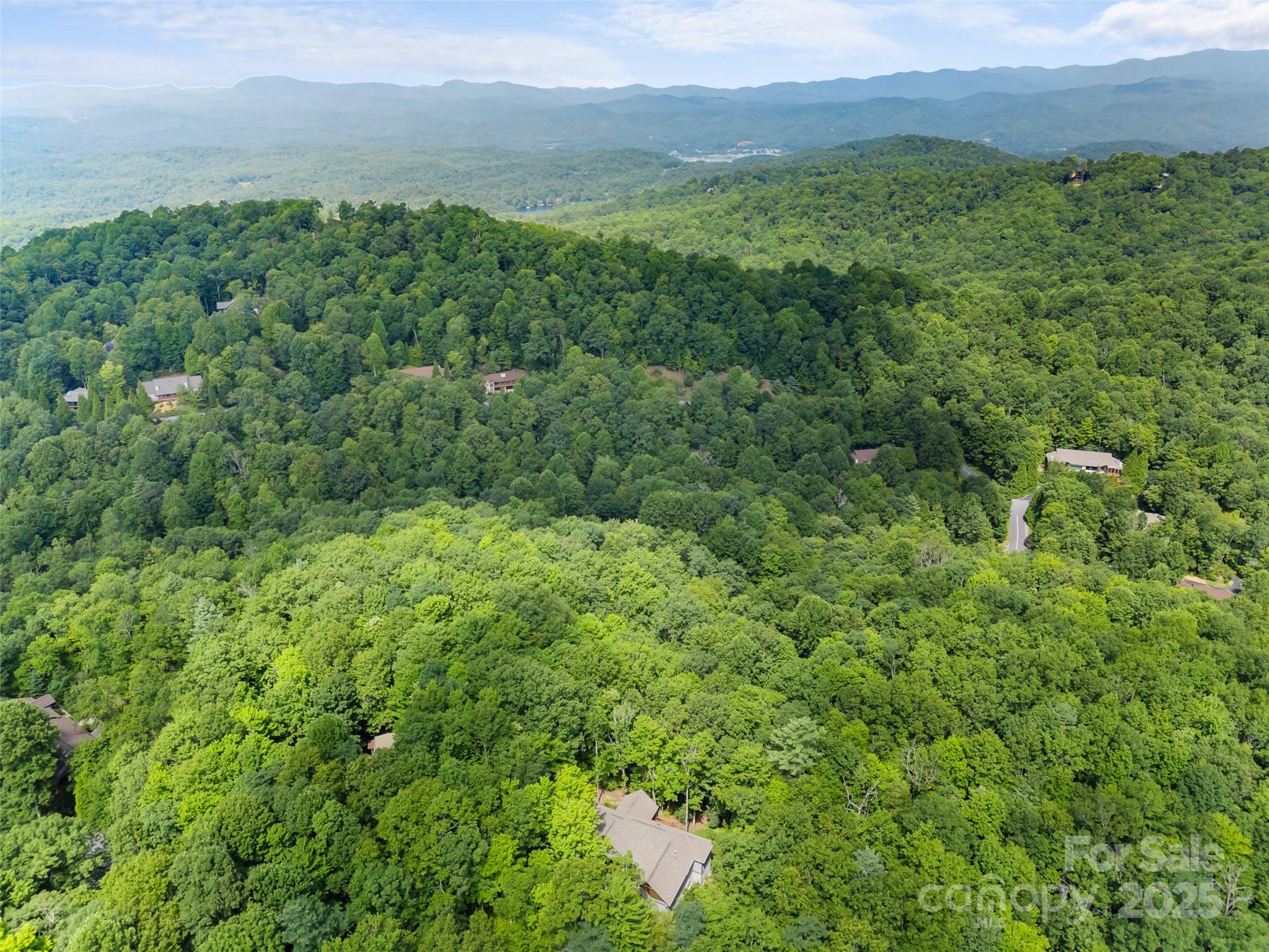 249 Tsisqua Circle Brevard, NC 28712 - Photo 10 of 39 a view of a lush green forest with trees and some houses