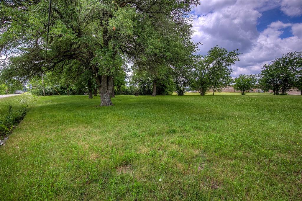 221 Maple Street Commerce, TX 75428 - Photo 17 of 19 a view of a big yard with a large tree