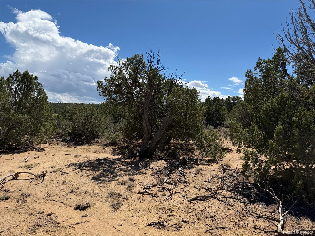 81 Twin Lakes Road Walsenburg, CO 81089 - Photo 19 of 26 Gallery Image 19