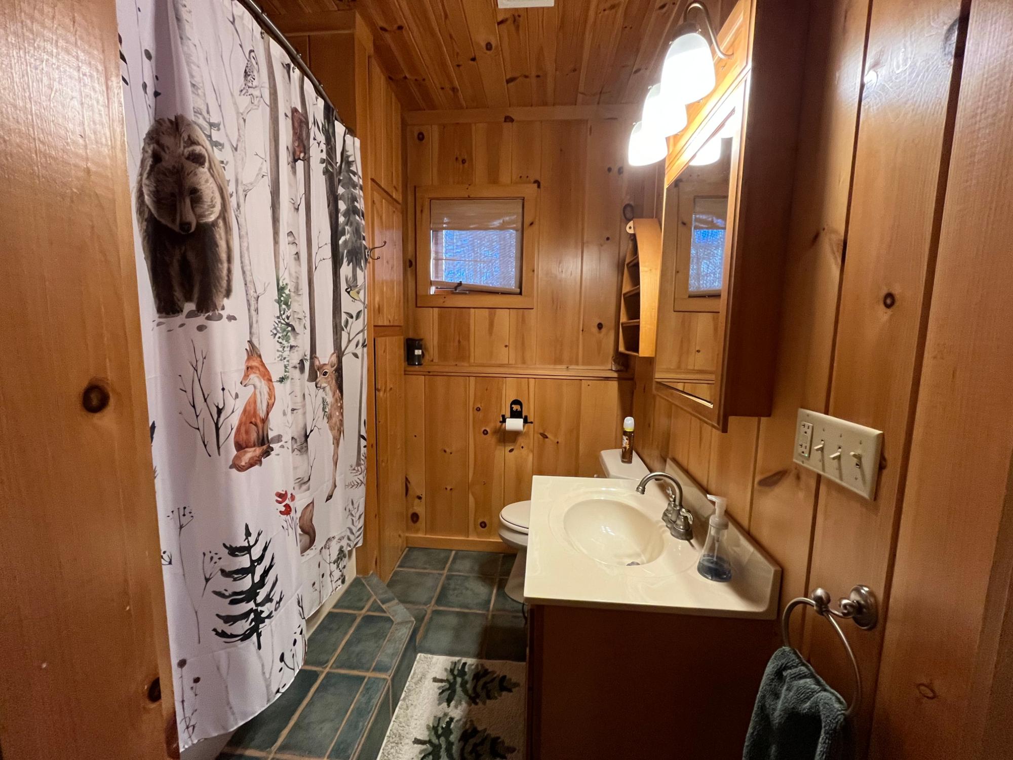 8000 Stolp Road Minocqua, WI 54548 - Photo 19 of 35 Gallery Image 19