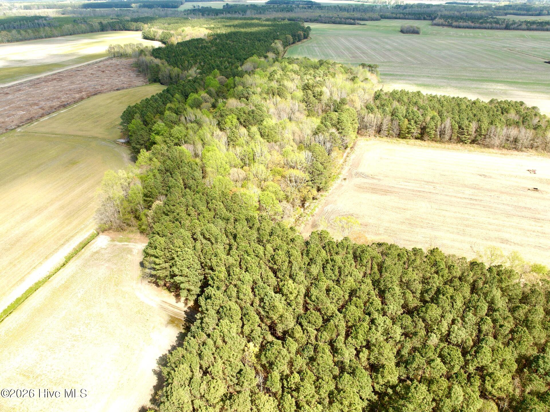 0 Middle Swamp Road Gates, NC 27937 - Photo 9 of 25 7