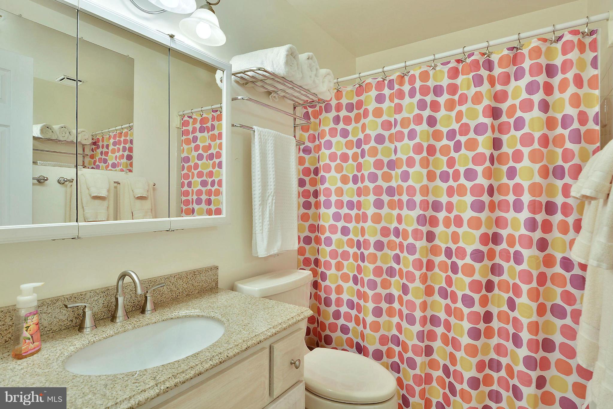 1331 Pleasant Meadow Road Crofton, MD 21114 - Photo 13 of 30 Bath upper level