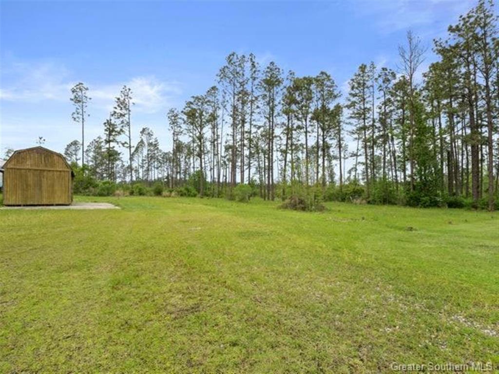 495 Jim West Road Deridder, LA 70634 - Photo 5 of 15
