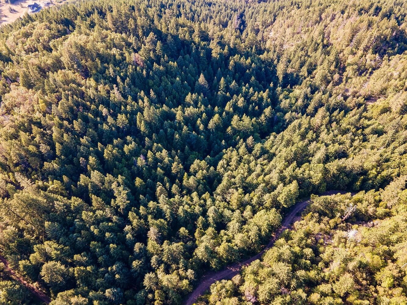 Jumpoff Joe Creek Road Grants Pass, OR 97526 - Photo 11 of 33 DJI_0716HDR01