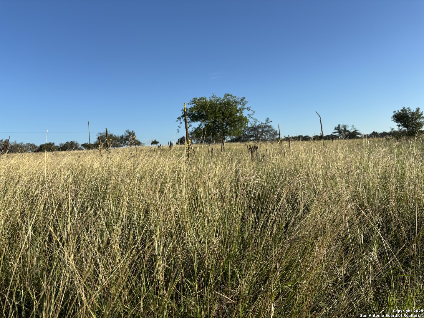 183 Lipan Loop Harper, TX 78631 - Photo 6 of 15