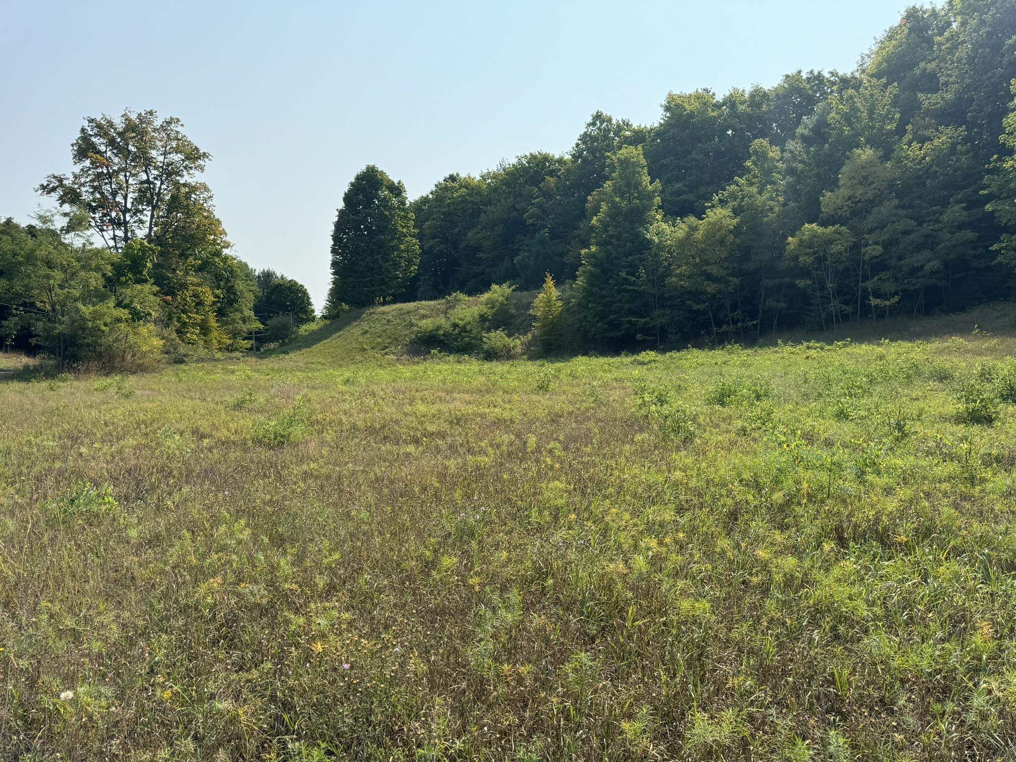 9011 Walling Road Alden, MI 49612 - Photo 18 of 18 Gallery Image 18