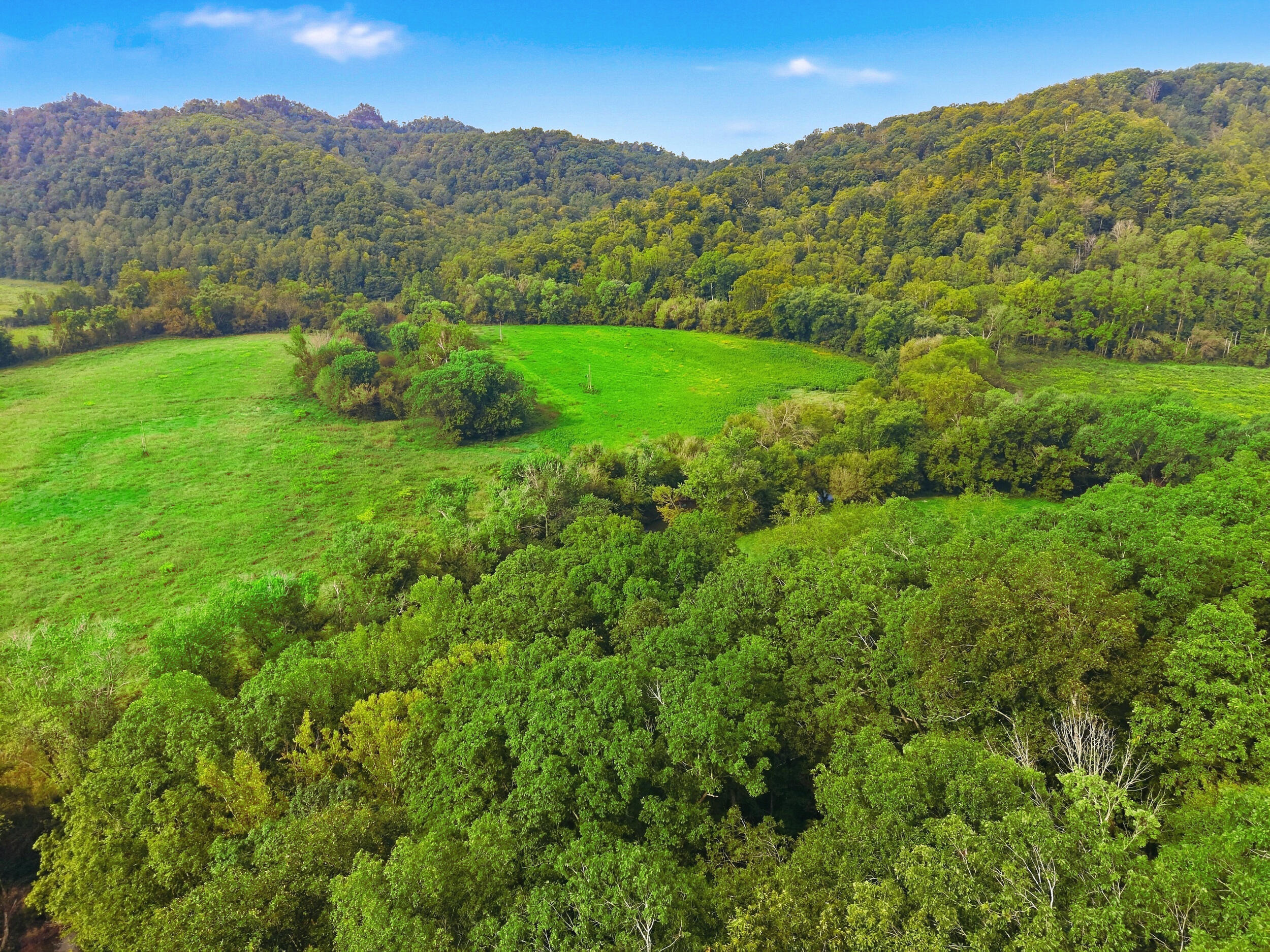4931 North Fork Road Stanton, KY 40380 - Photo 13 of 15 12_dji_fly_20260918_105016_0948_17897428
