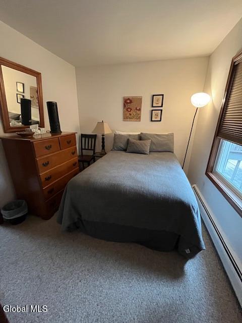 40 Lawrence Road Jewett, NY 12442 - Photo 15 of 24 IMG_0968