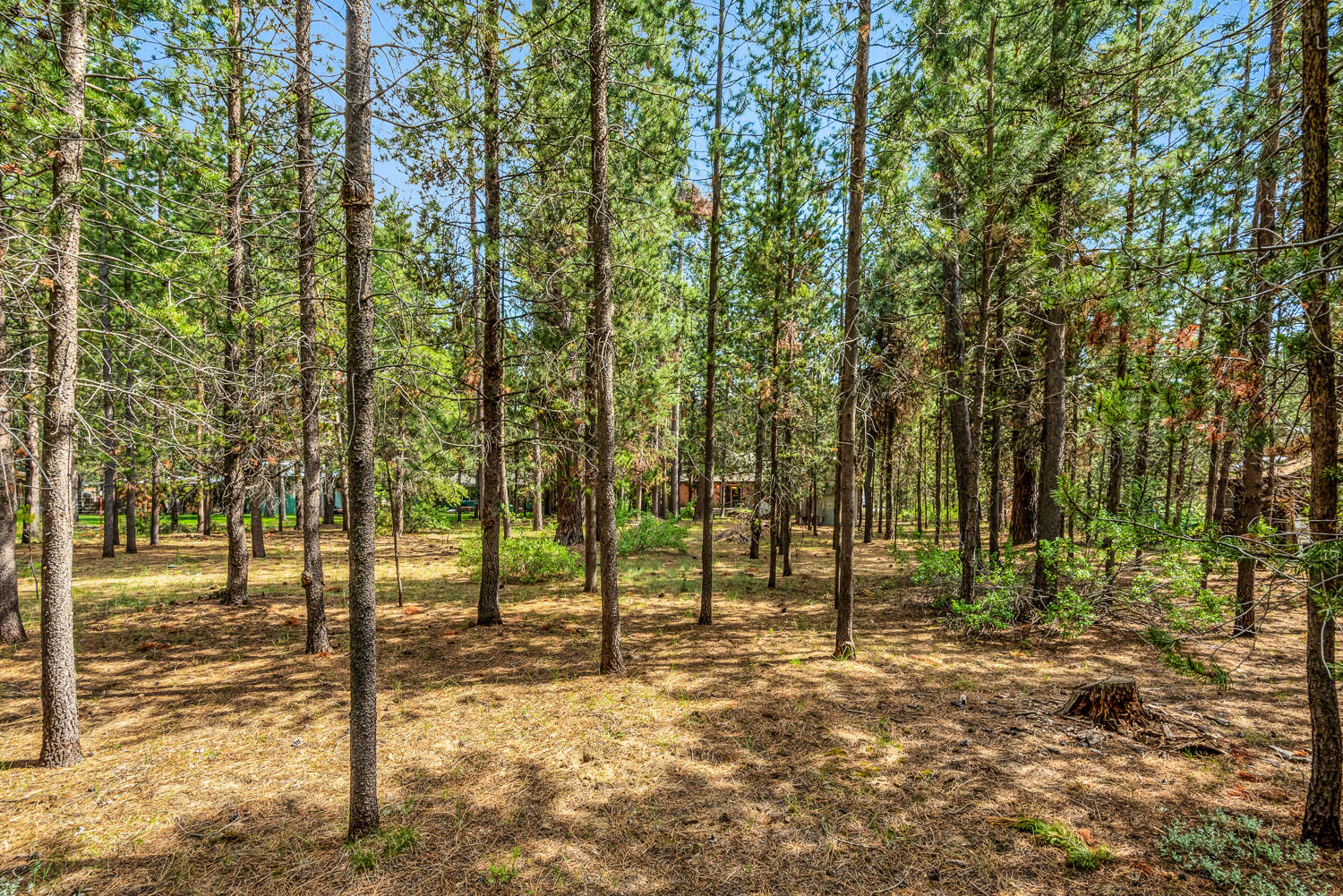 16920 Covina Road Bend, OR 97707 - Photo 20 of 20 OReilly_20210602_21_90438_72ppi
