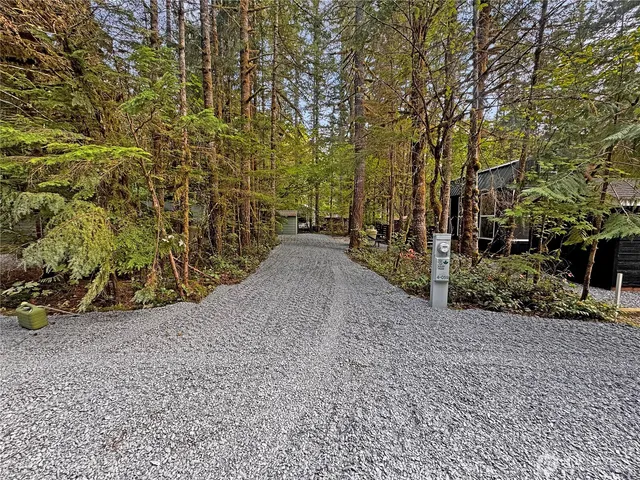 a view of a road with plants and trees