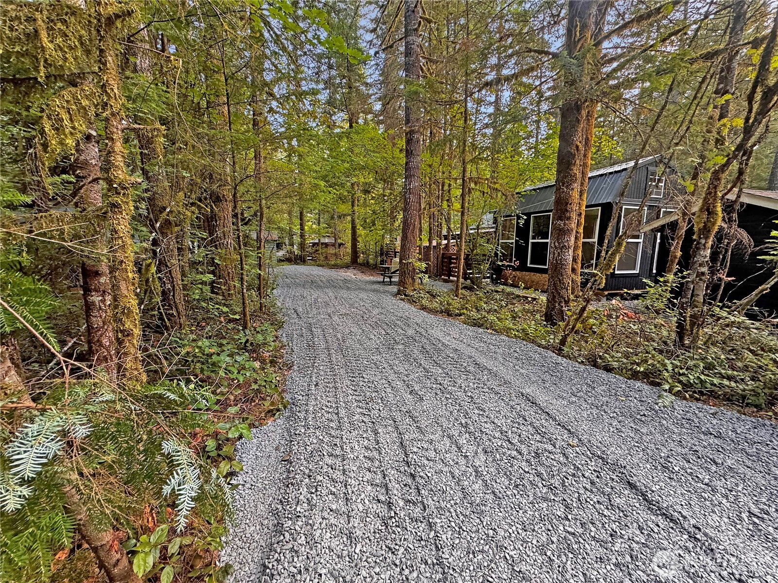 59-4 Christmas Tree Circle Maple Falls, WA 98266 - Photo 2 of 24